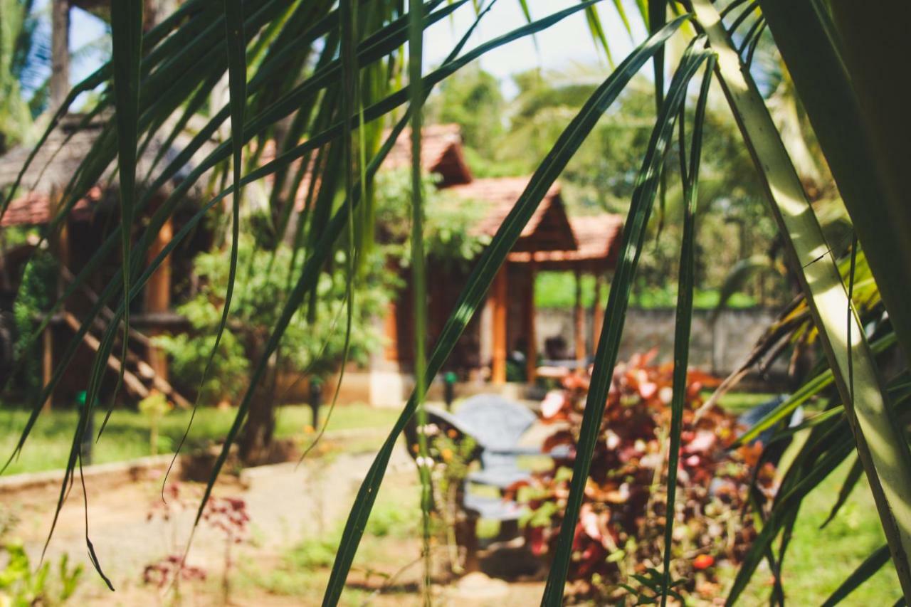 ホテル Clay House ウダワラウェ エクステリア 写真